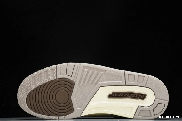 Retro Jordan  CT8532-102 CT8532-102 Palomino  3 0401